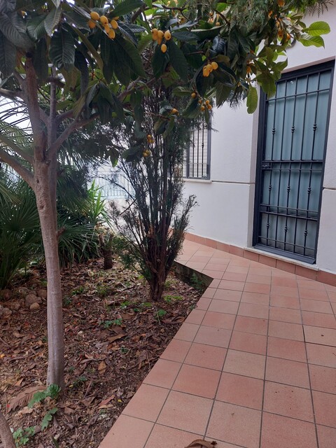 Villa in Affitto a Altavilla Milicia (Palermo)