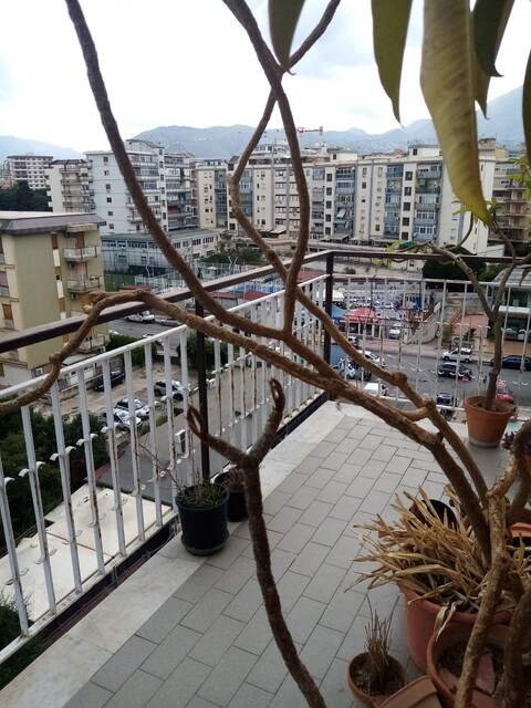 Appartamento in Vendita a Palermo Galilei