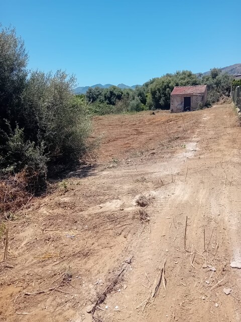 Terreno Agricolo in Vendita a Palermo pagliarelli