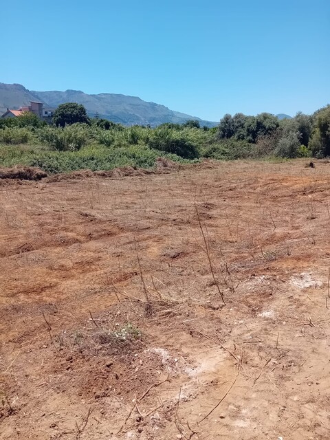 Terreno Agricolo in Vendita a Palermo pagliarelli