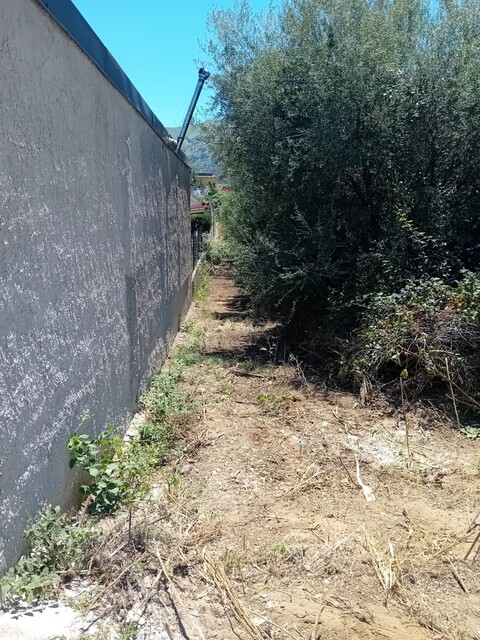 Terreno Agricolo in Vendita a Palermo pagliarelli