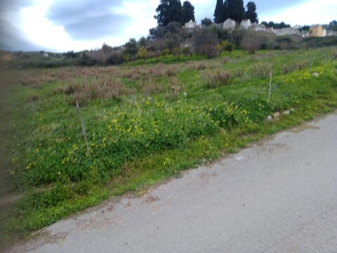 Terreno Agricolo in Vendita a Cerda Contrada Vicino la Terra (Palermo)