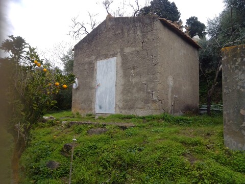 Terreno Agricolo in Vendita a Cerda Contrada Vicino la Terra (Palermo)