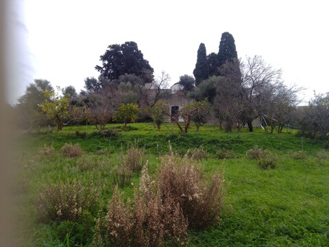 Terreno Agricolo in Vendita a Cerda Contrada Vicino la Terra (Palermo)