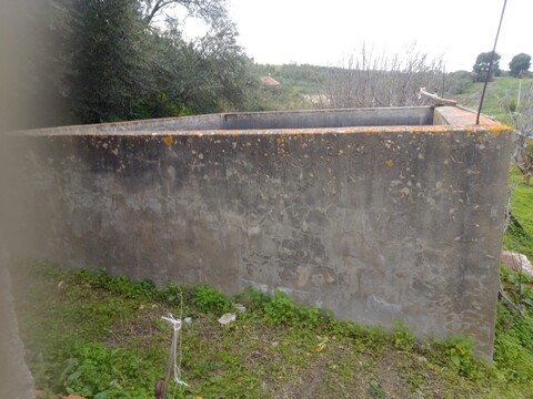 Terreno Agricolo in Vendita a Cerda Contrada Vicino la Terra (Palermo)