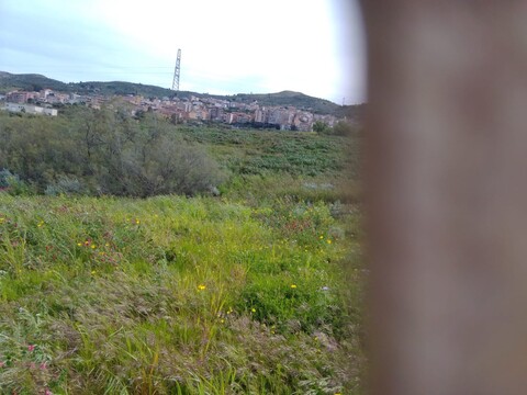 Terreno Agricolo in Vendita a Cerda Contrada Vignazza (Palermo)
