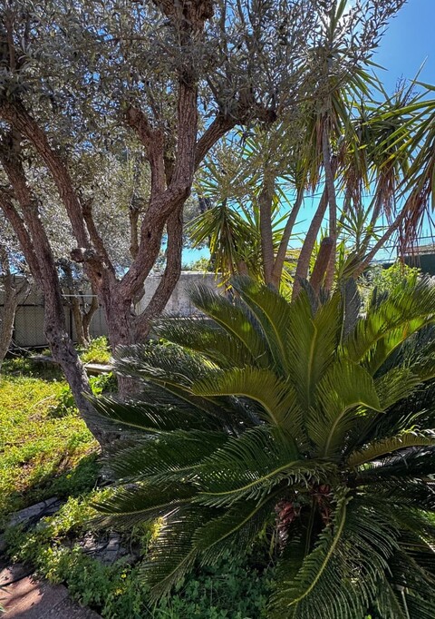 Villa bifamiliare in Vendita in provincia di Palermo