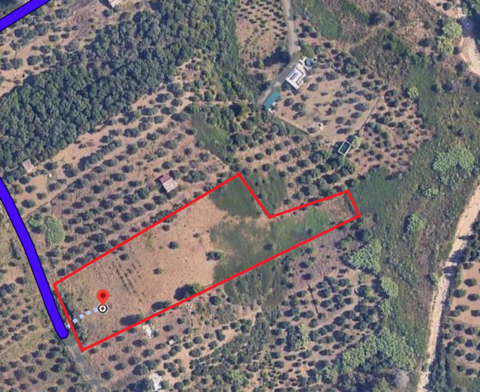 Terreno Agricolo in Vendita a Bolognetta (Palermo)