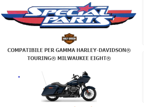 SCARICO OMOLOGATO SLIP-ON Harley-Davidson® Touring® Milwaukee Eight®
