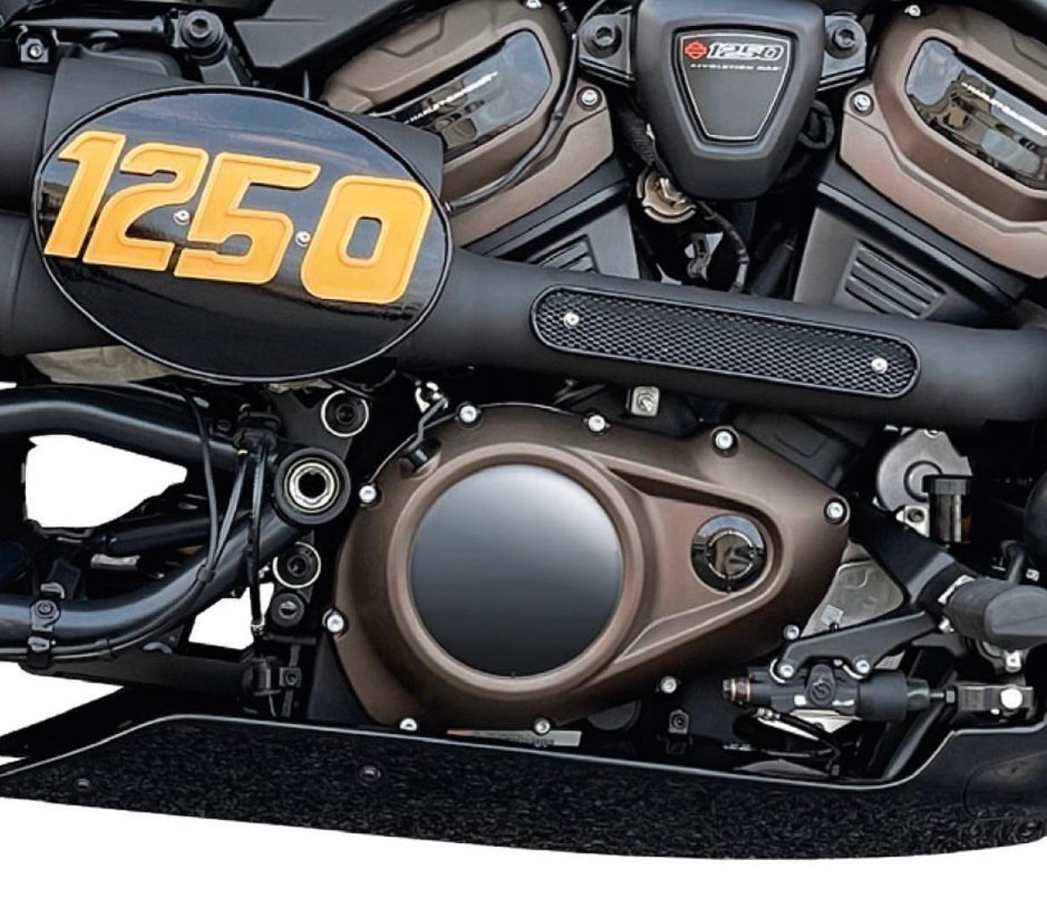 Scarico slip-on Harley  Davidson sportster 1250   Euro 5   OMOLOGATO mcj MCJ IMPIANTO DI SCARICHI COMPLETO NERO PER SPORTSTER S 1250