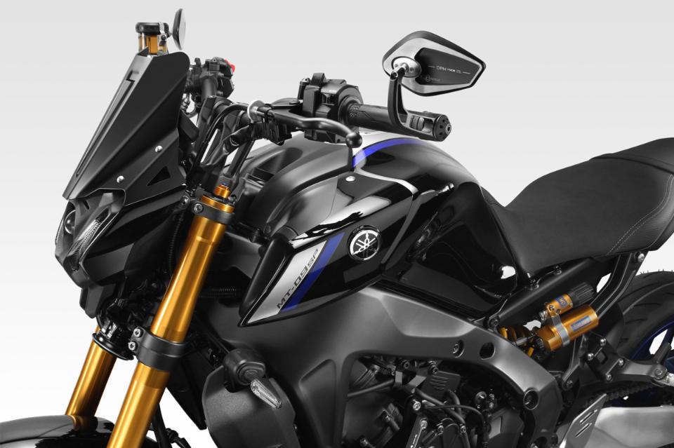 Cupolino Werrior DPM RACE MT09 FZ9 2021