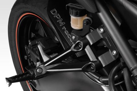 KIT SUPPORTI PEDANE PASSEGGERO IN ALLUMINIO  DE PRETTO MOTO YAMAHA MT 09-F09 2014/2016
