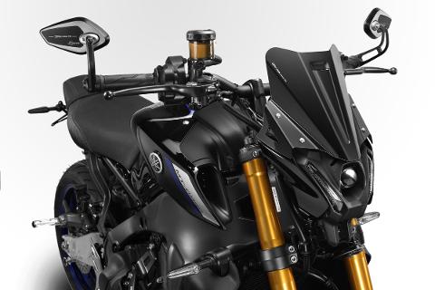 Cupolino Werrior DPM RACE MT09 FZ9 2021