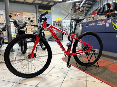 BICICLETTA  10 VELOCITA' MONO IN ALLUMINIO MTB