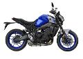 kit targa portatarga Yamaha DPM RACE YAMAHA MT 09/2021   FZ09/2021