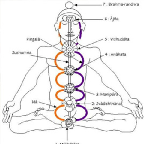 Area Massaggi Ayurveda
