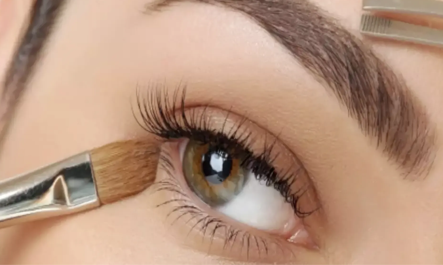 Corso 3in1 Combo Brow Bio tattoo Hennè, Laminazione Sopracciglia e Correzione dell'Arcata