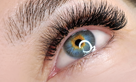 Percorso per Qualifica di LASHMAKER - Catania