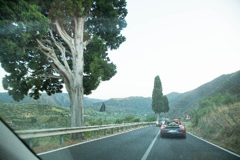 S13A2633.jpg