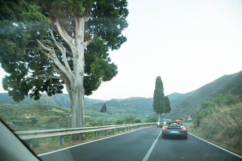 S13A2633.jpg