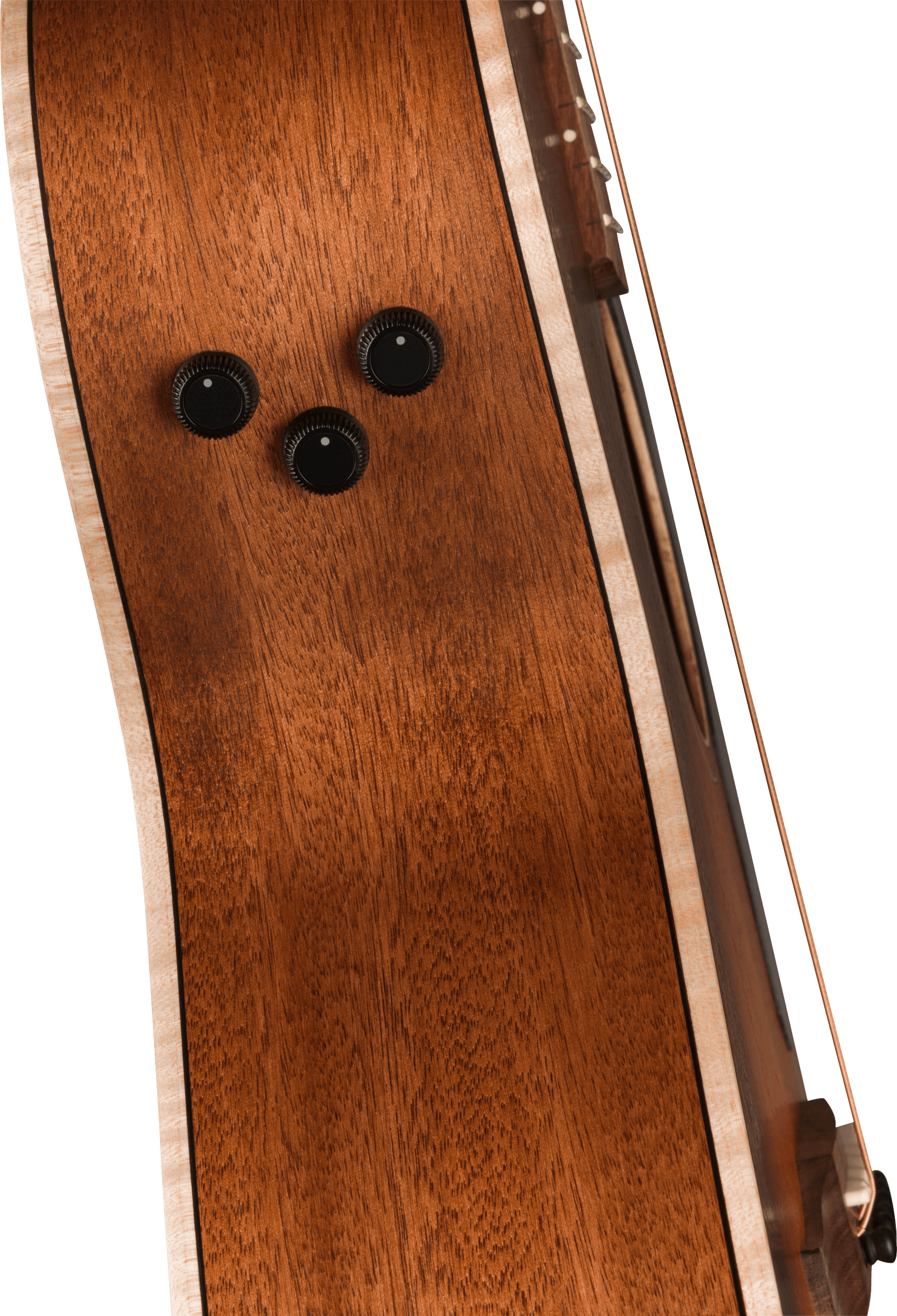 FENDER NEWPORTER SPECIAL CALIFORNIA SERIES PF HONEY BURST CON BORSA