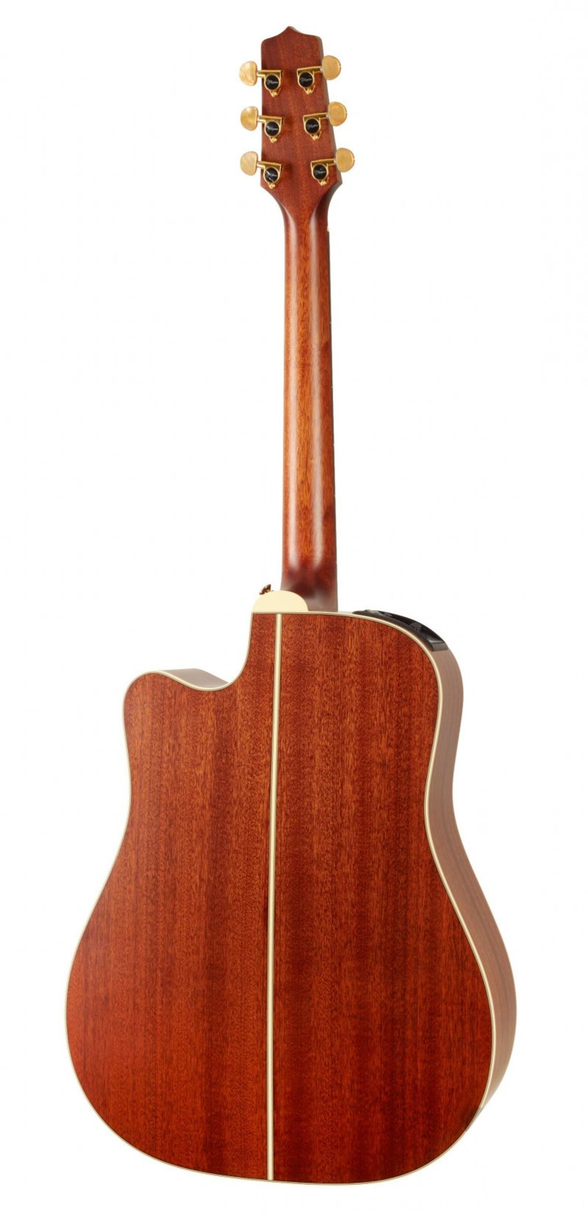 TAKAMINE P3DC