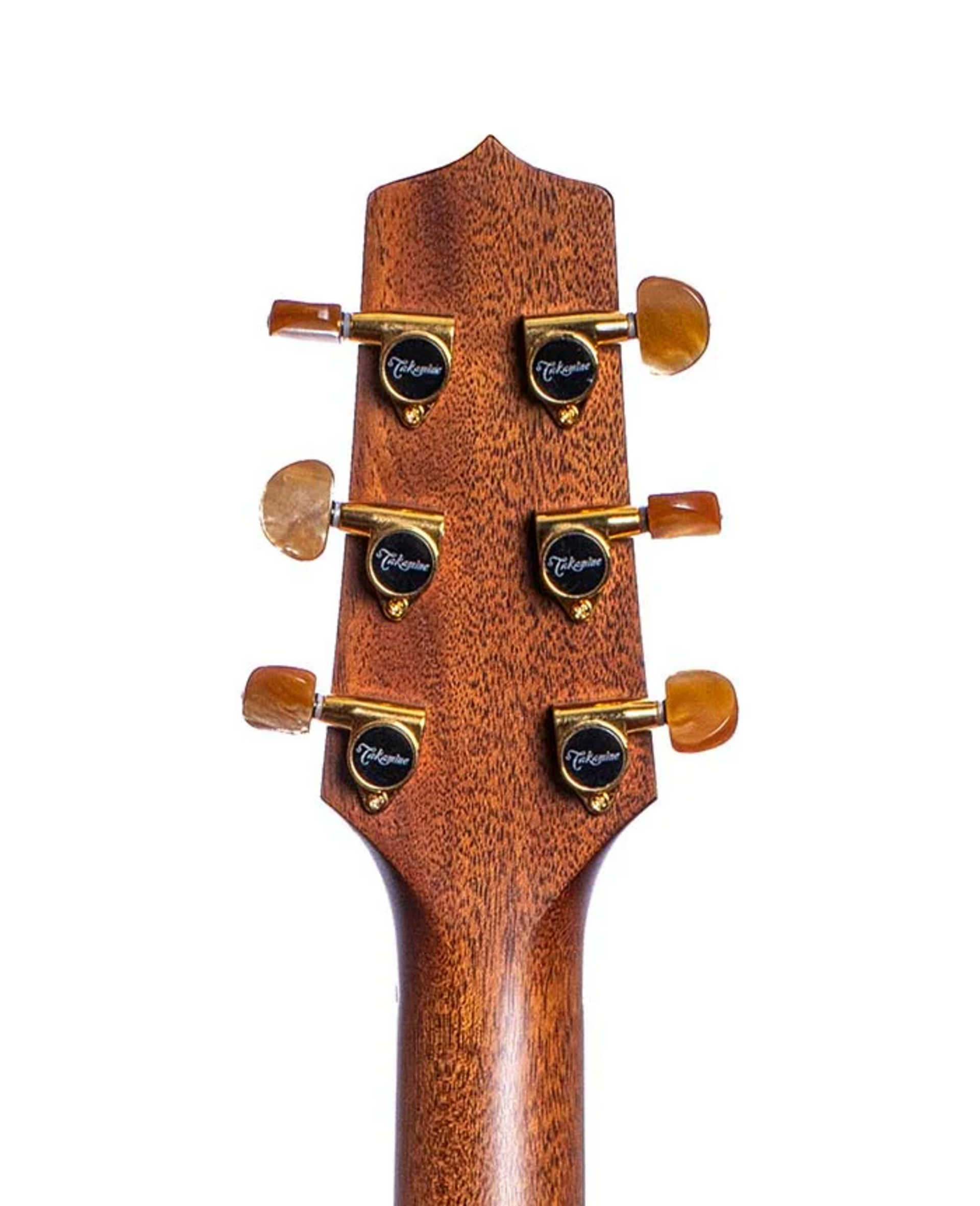 TAKAMINE P3DC