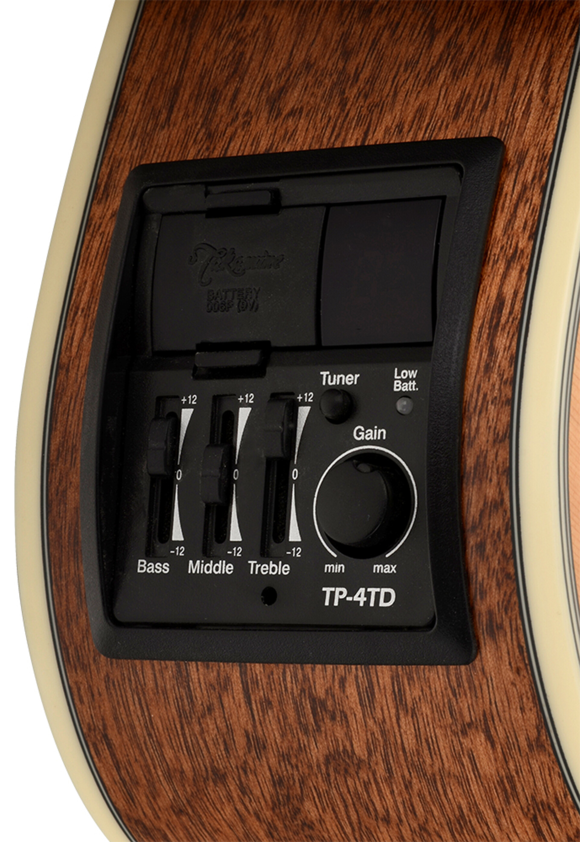 TAKAMINE GD20CE NS