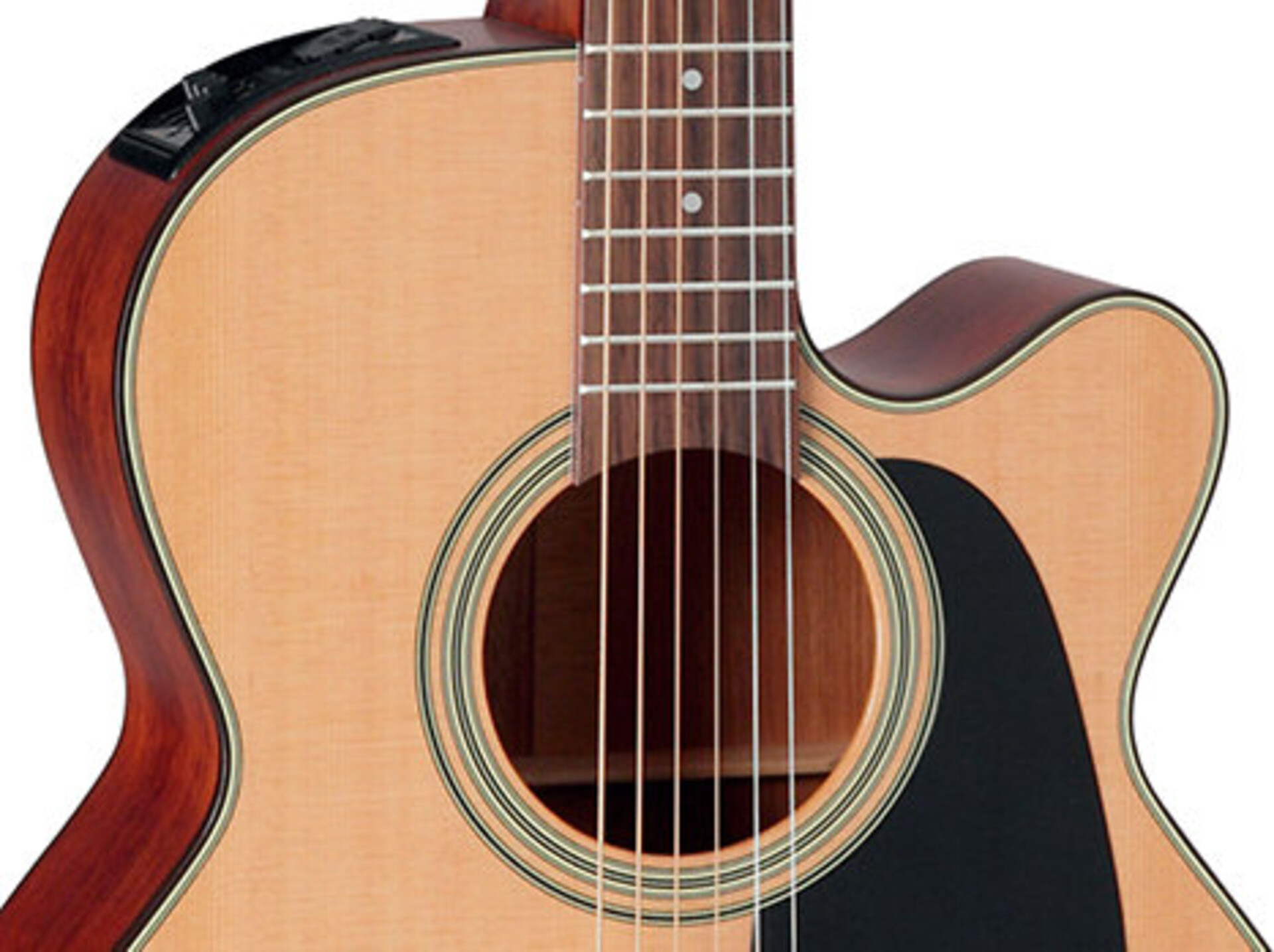 TAKAMINE P1NC