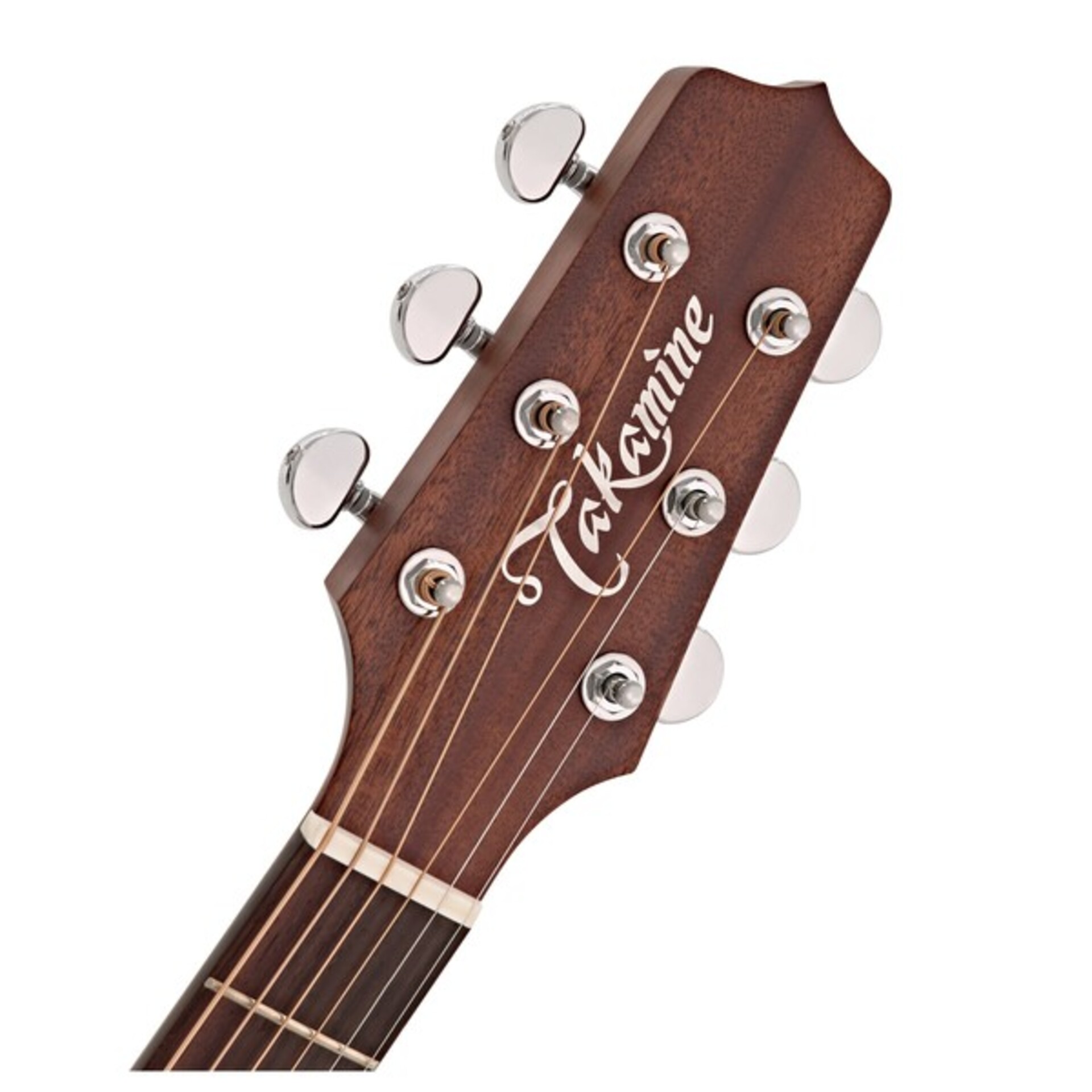 TAKAMINE P1NC