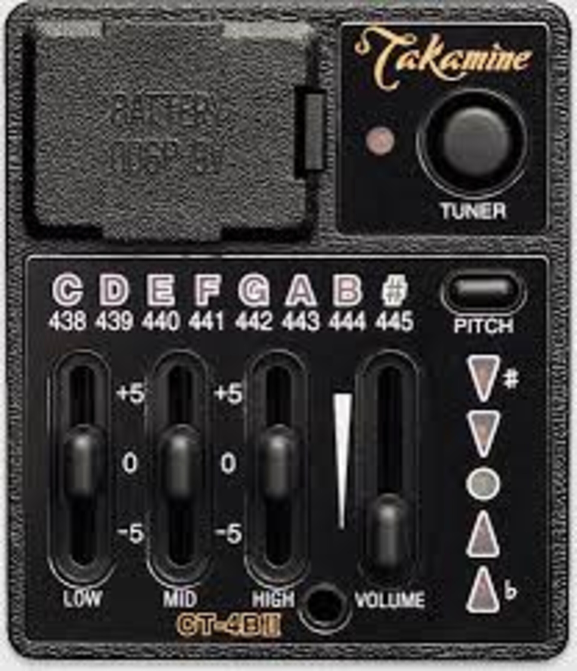TAKAMINE P1NC