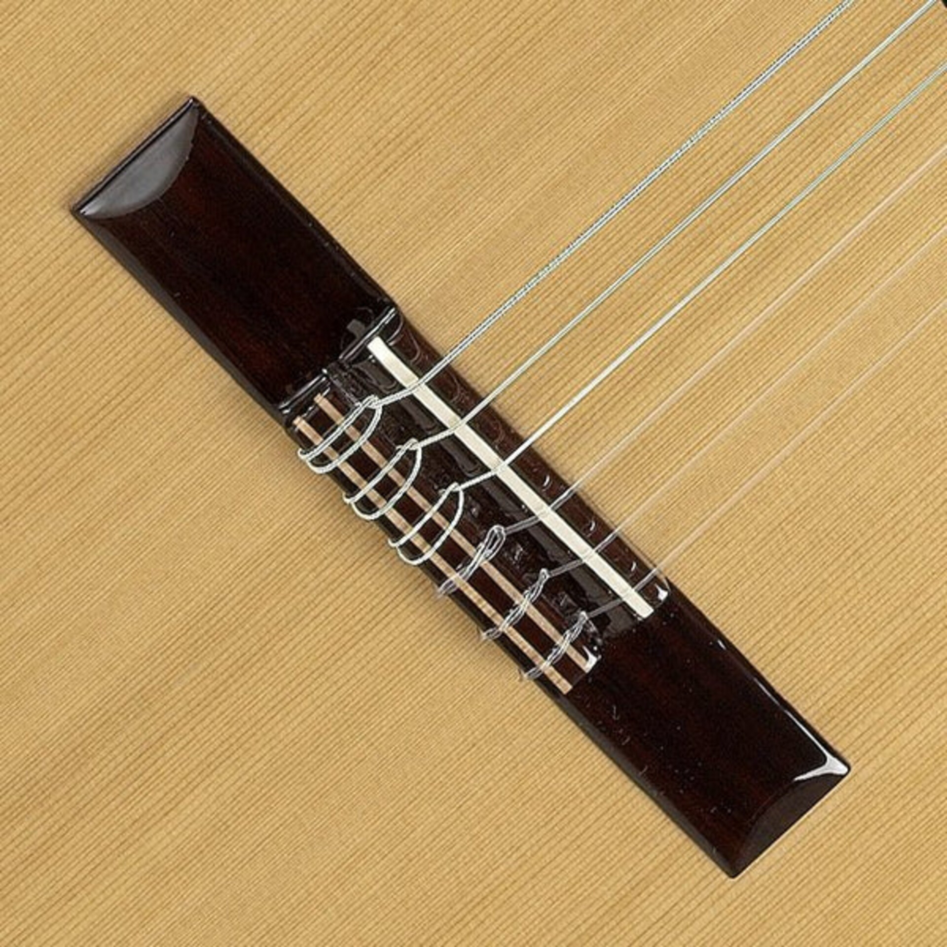 ALHAMBRA 2C CON GIG BAG