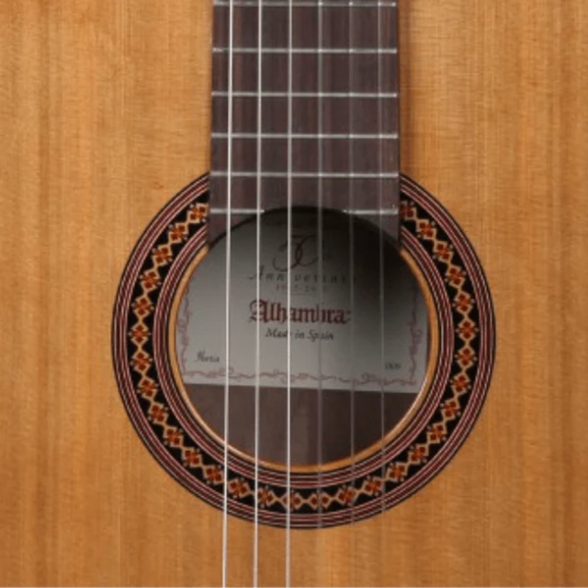 ALHAMBRA IBERIA ZIRICOTE CON GIG BAG