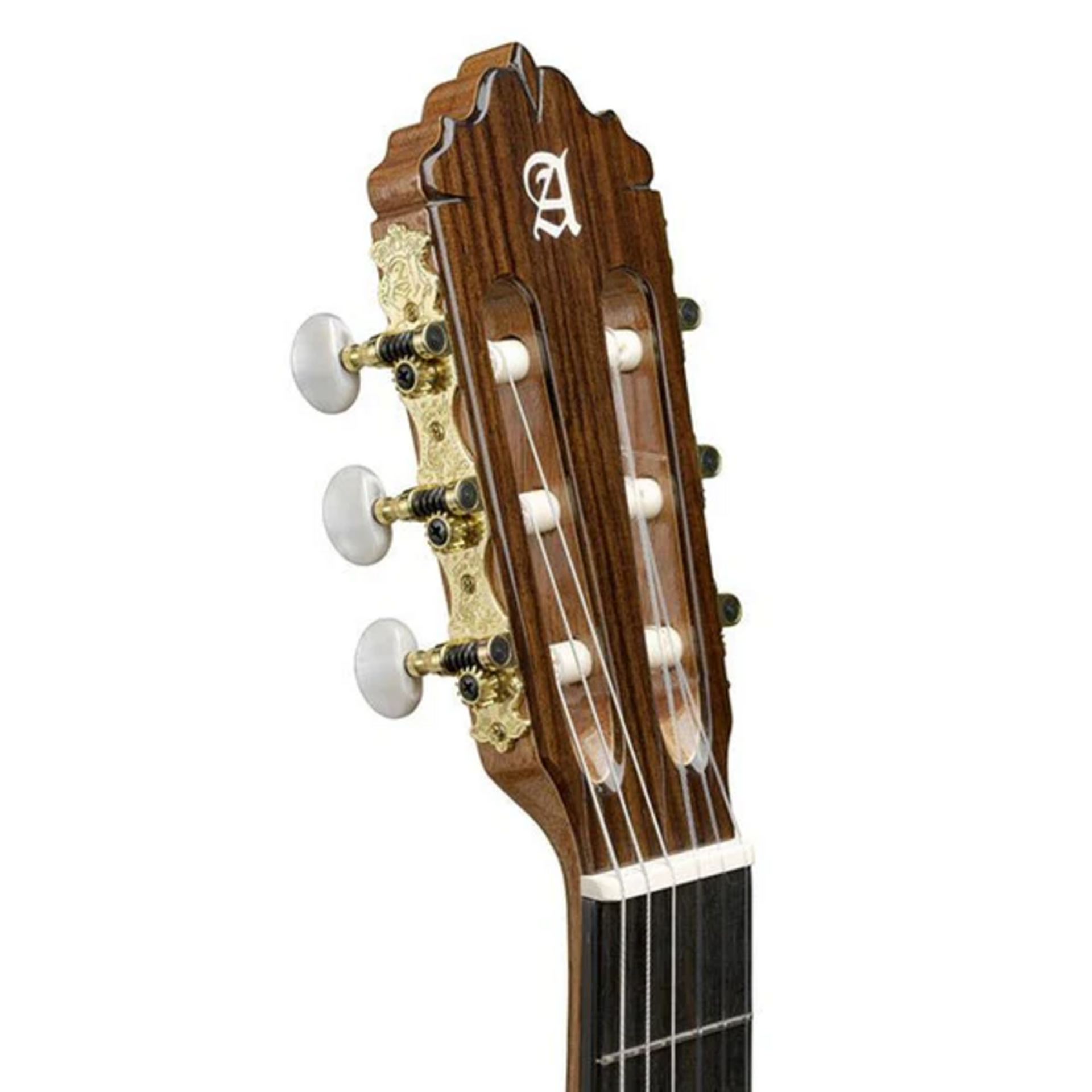 ALHAMBRA 5PA CON GIG BAG PROFESSIONALE