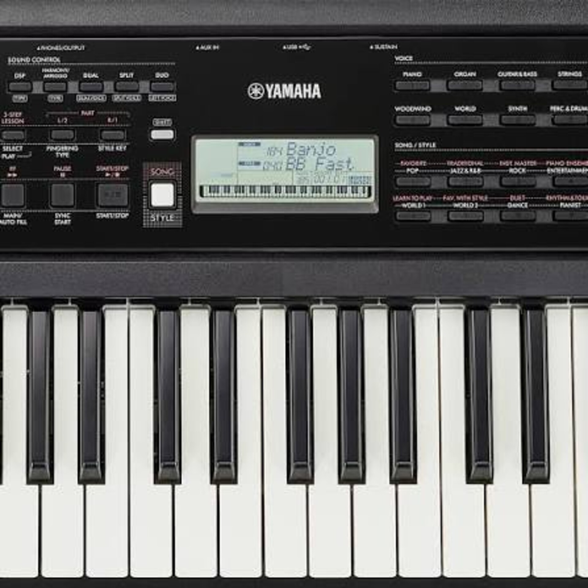 YAMAHA PSR EW320