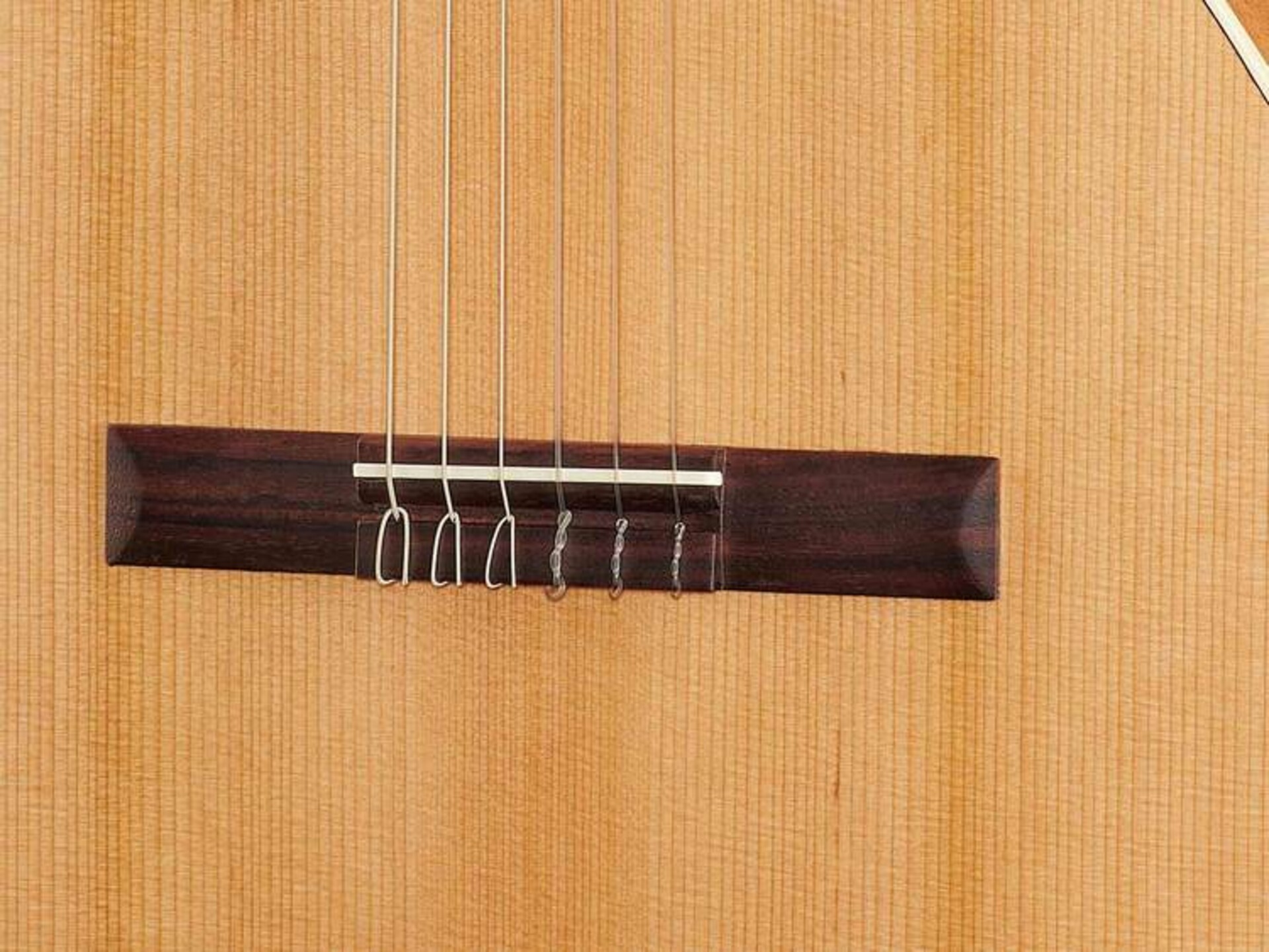 ALHAMBRA Z NATURE CON GIG BAG