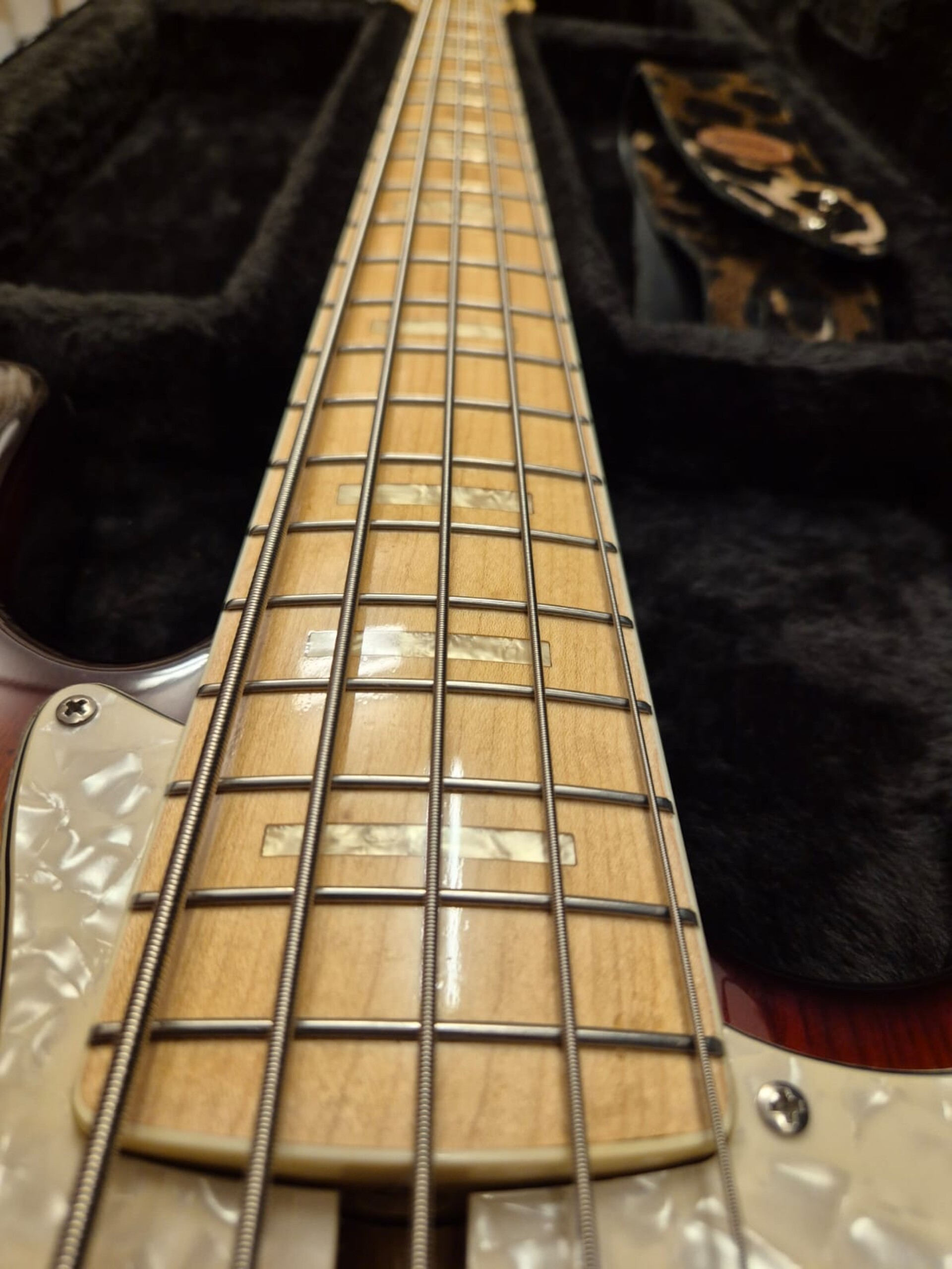 SIRE V7 MARCUS MILLER 5 CORDE