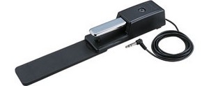 ROLAND DP10