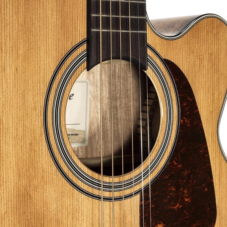 TAKAMINE GSN1CE NATURAL