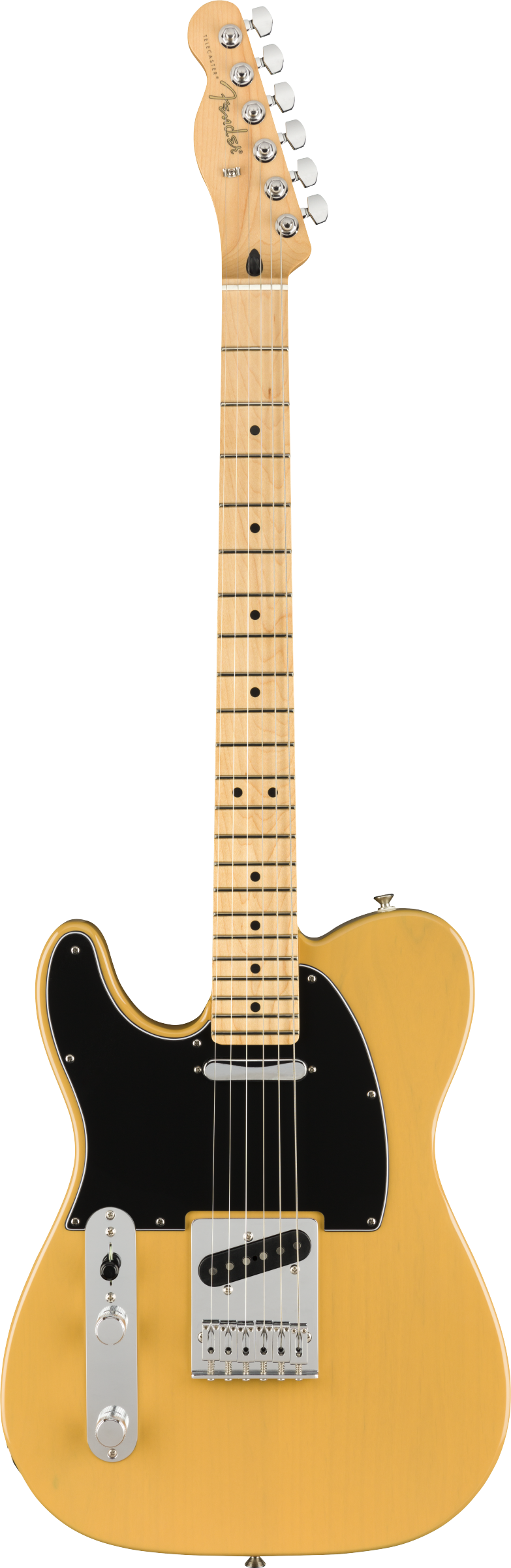 FENDER PLAYER TELECASTER LH LEFTY MN BUTTERSCOTCH BLONDE CON BORSA FENDER MIDNIGHT BLUE IN OMAGGIO