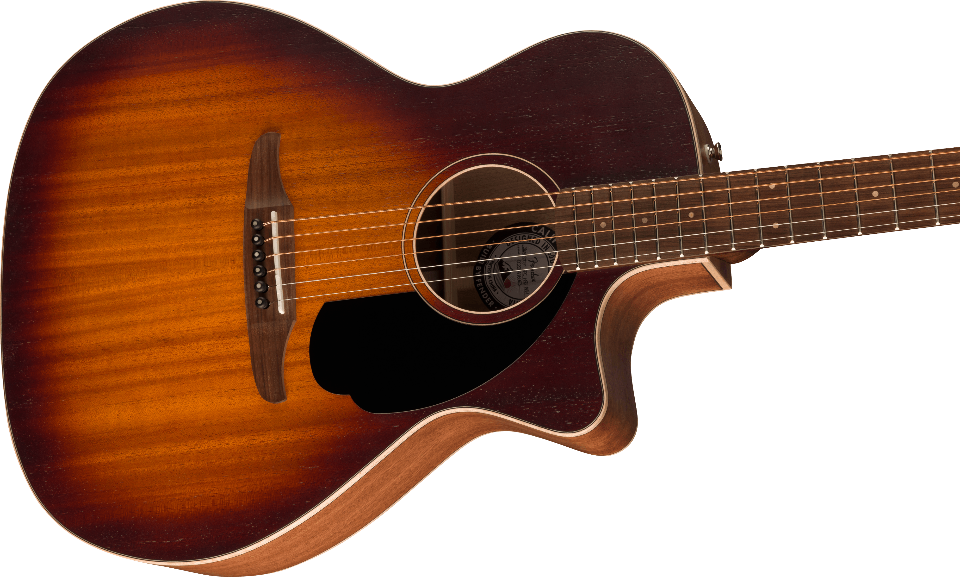 FENDER NEWPORTER SPECIAL CALIFORNIA SERIES PF HONEY BURST CON BORSA