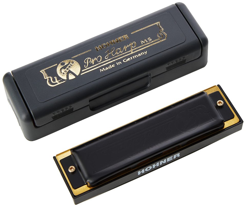 HOHNER PRO HARP IN DO