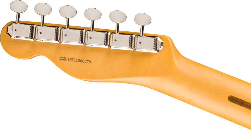 FENDER AMERICAN PROFESSIONAL CLASSIC TELECASTER MN BUTTERSCOTCH BLONDE