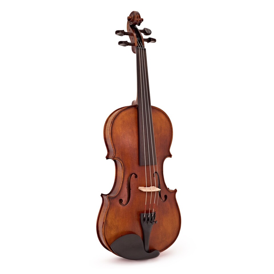 STENTOR VERONA PREPARATO