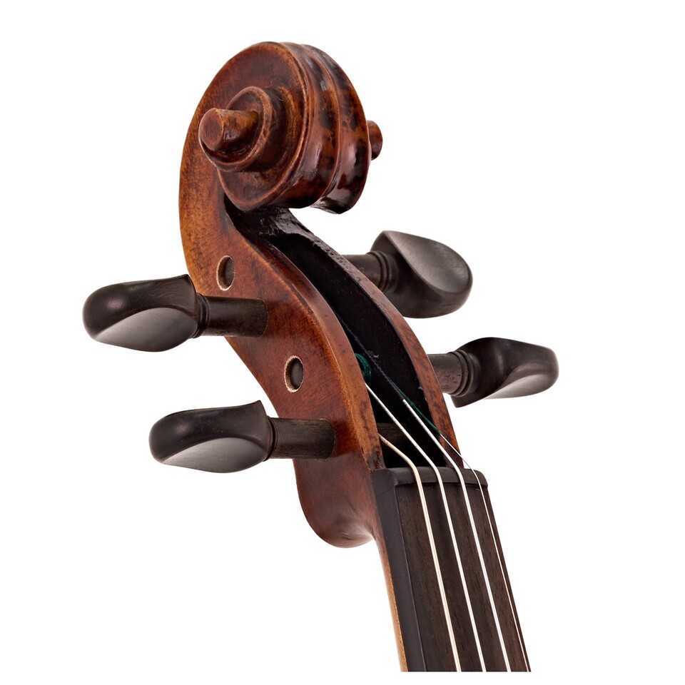 STENTOR VERONA PREPARATO