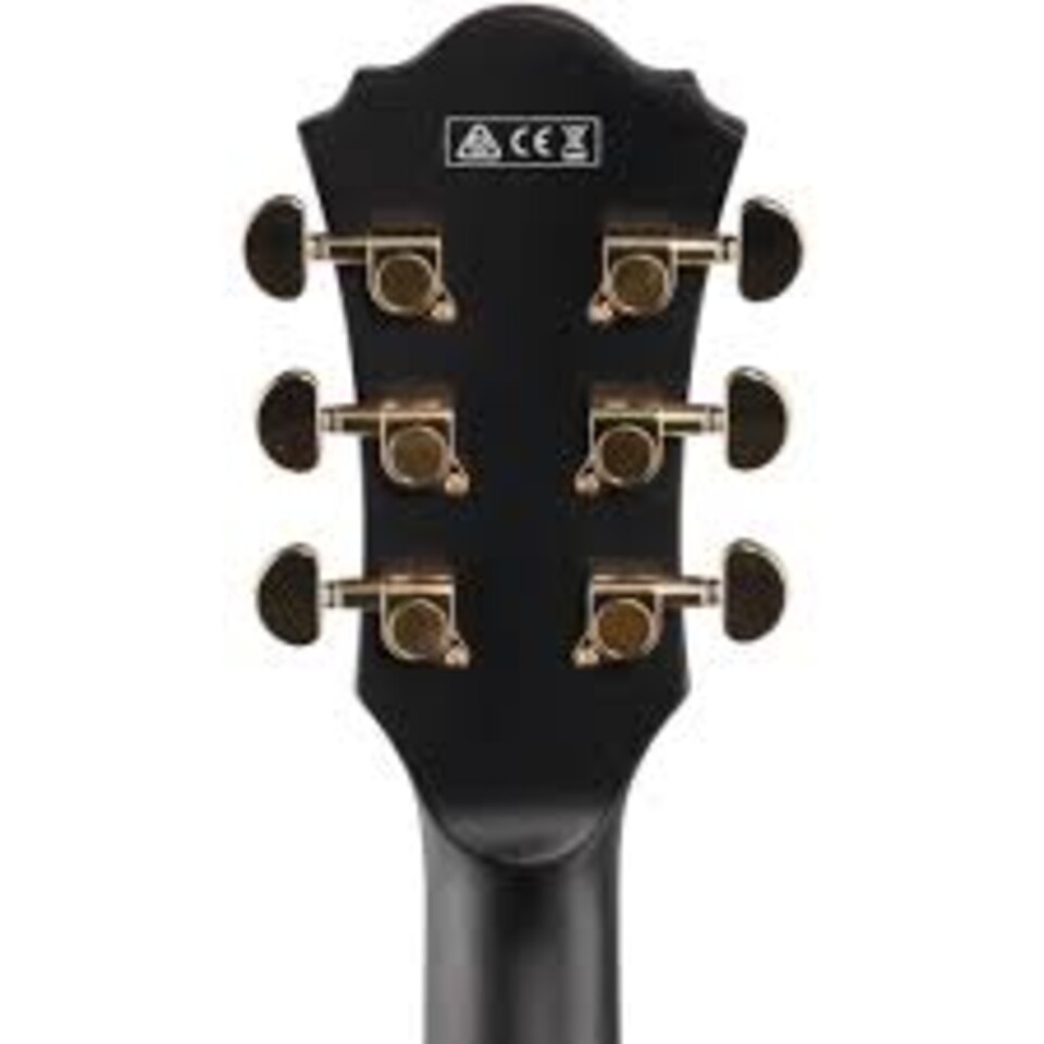 IBANEZ AS73G BKF BLACK FLAT