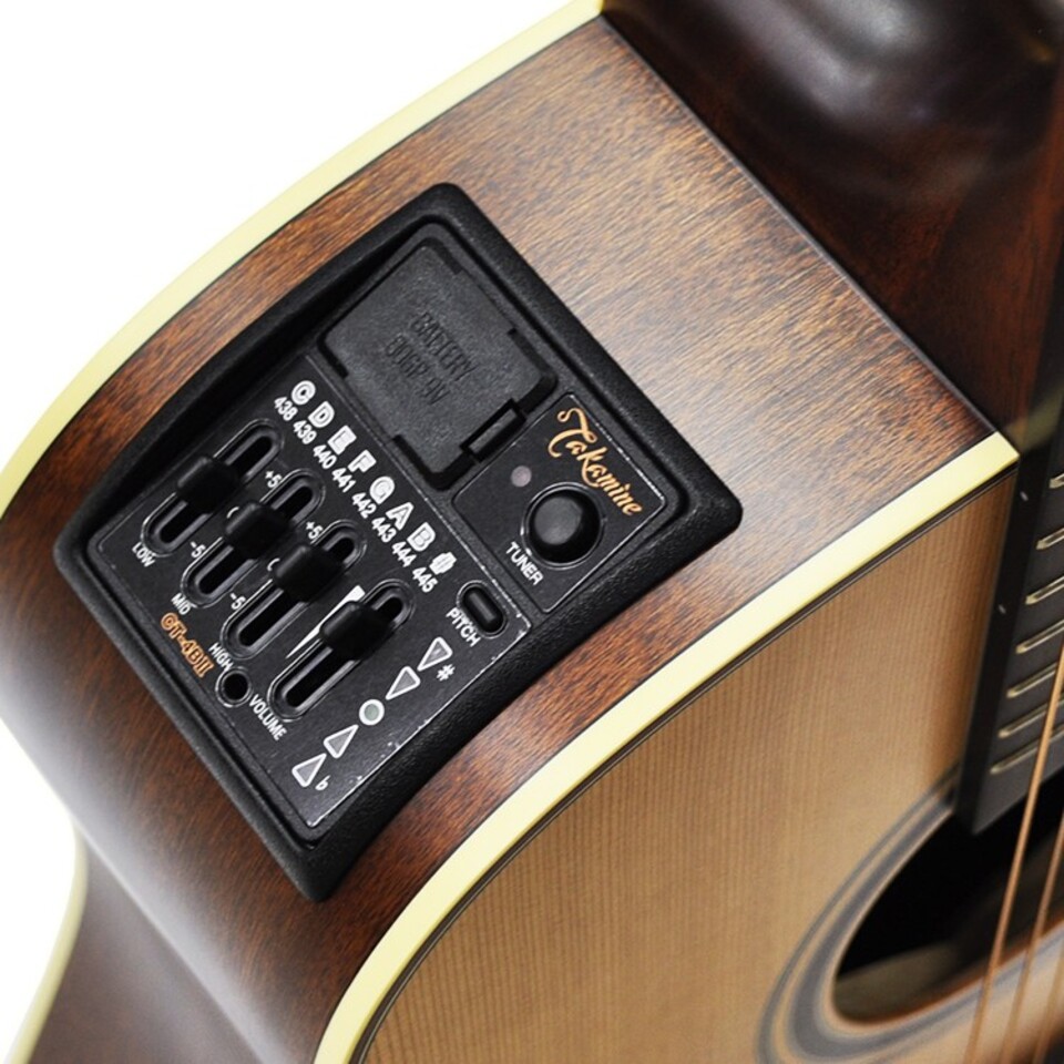 TAKAMINE P3DC