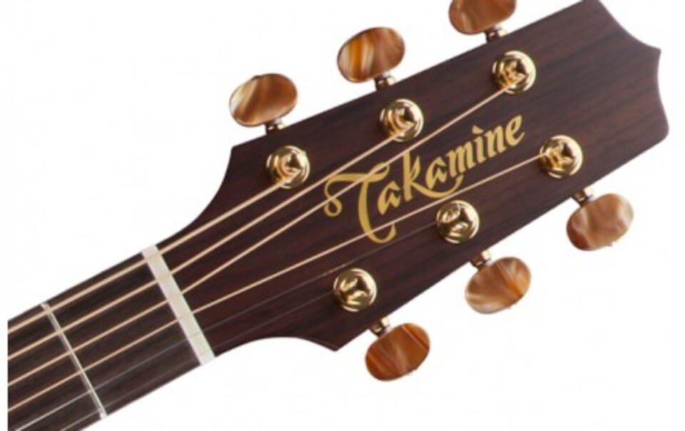 TAKAMINE P3DC