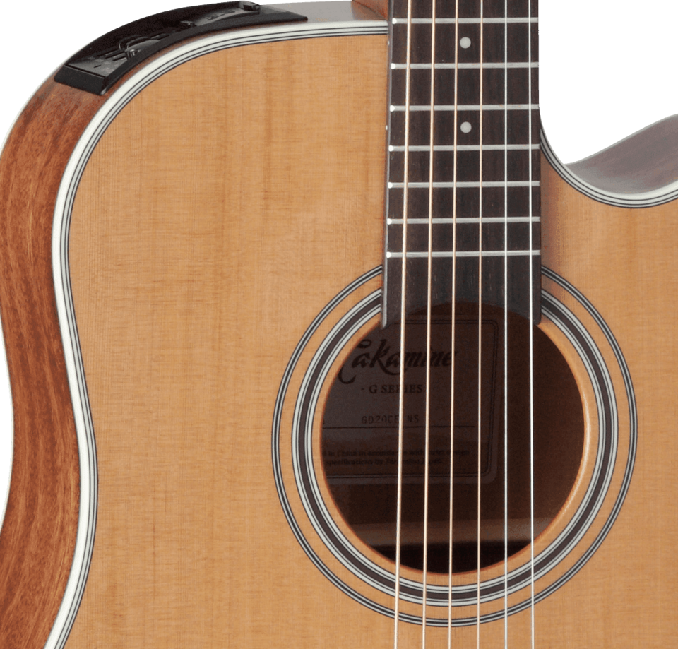 TAKAMINE GD20CE NS
