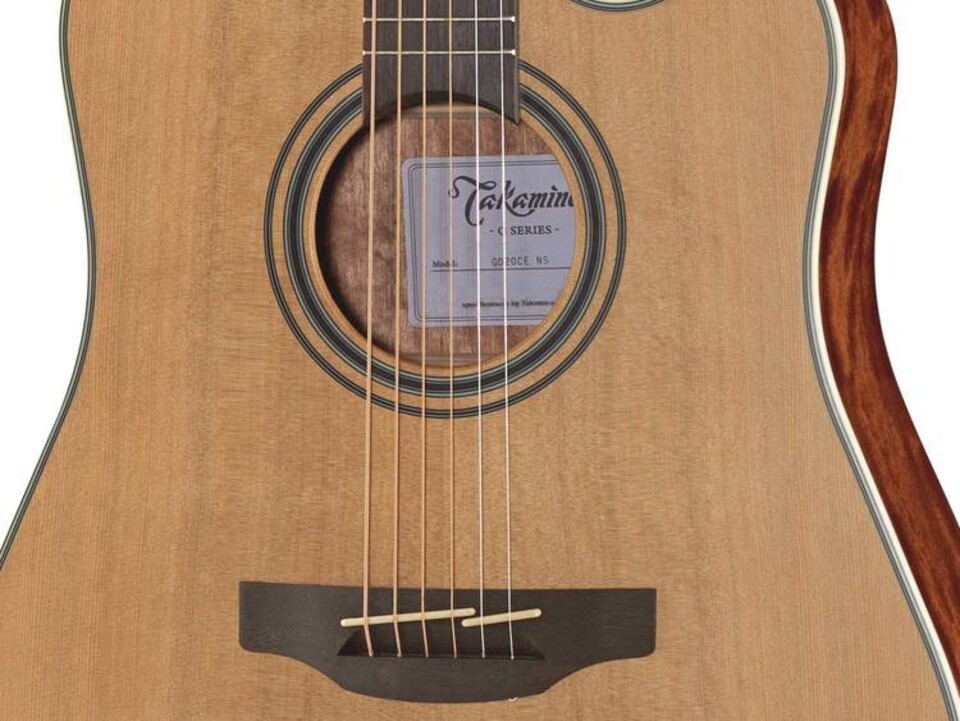 TAKAMINE GD20CE NS